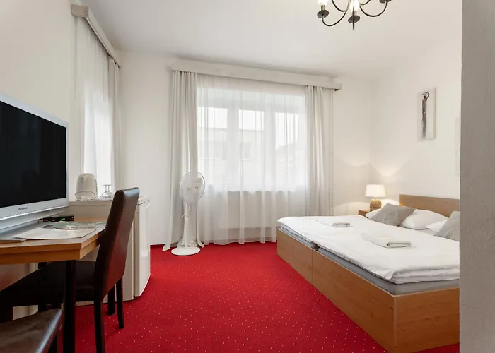 Guest house Charleston Luhacovice